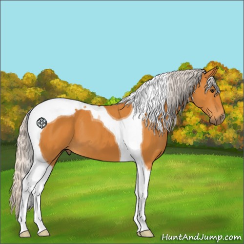 Horse Color:Silver Buckskin Tobiano 