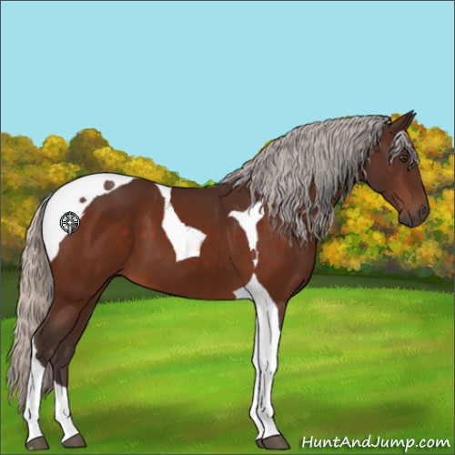 Horse Color:Silver Brown Tobiano 