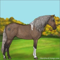 Horse Color:Silver Brown Dun Tobiano 