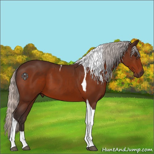 Horse Color:Silver Brown Tobiano 