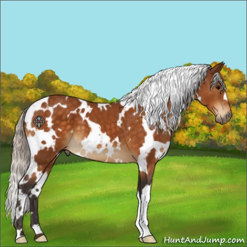 Horse Color:White Spotted Silver Buckskin 