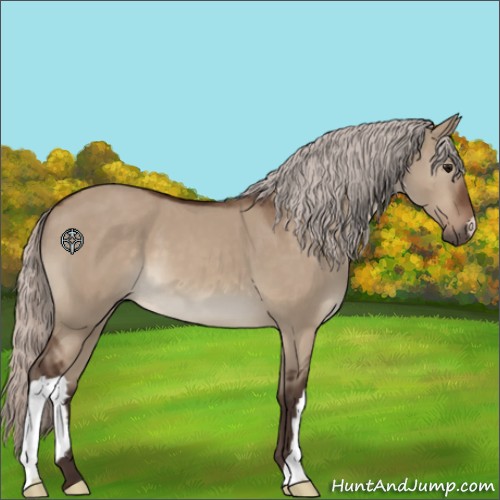 Horse Color:Silver Brown Dun 