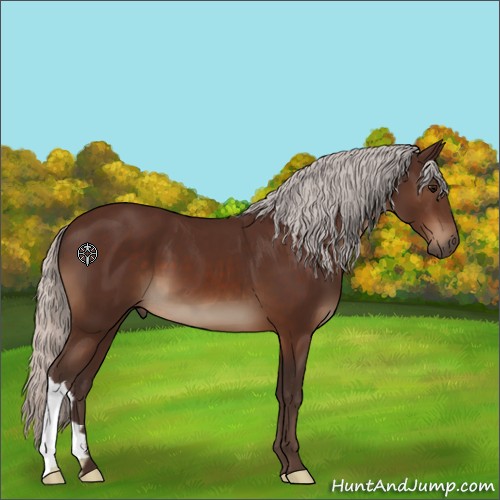Horse Color:Silver Brown 