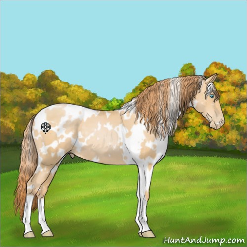 Horse Color:White Spotted Buckskin Pearl 
