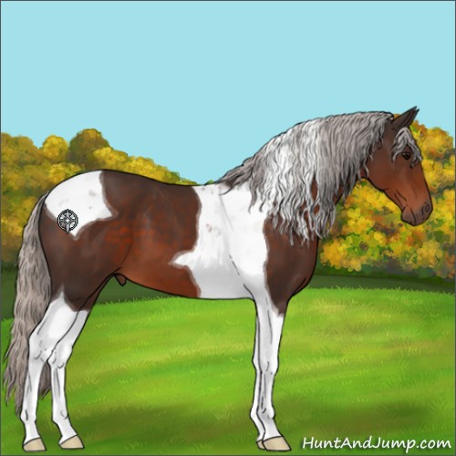 Horse Color:Silver Brown Tobiano 