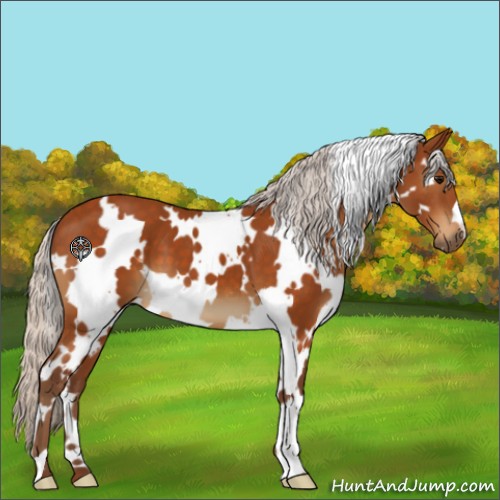 Horse Color:White Spotted Silver Buckskin 