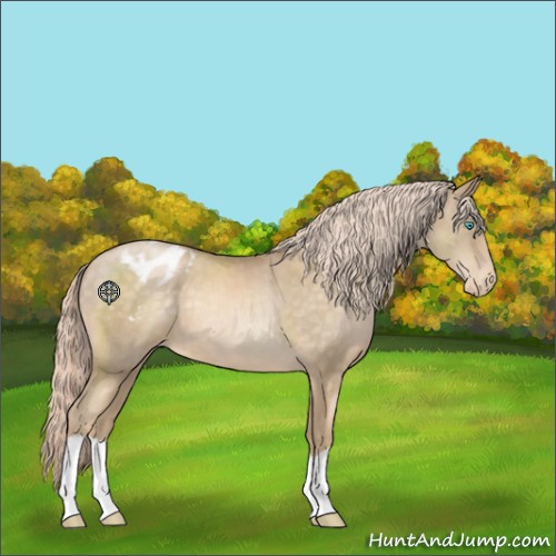 Horse Color:Chocolate Palomino Pearl Varnish 