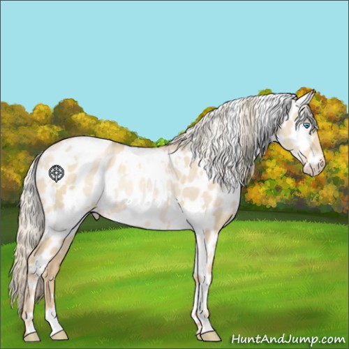 Horse Color:White Spotted Palomino Pearl Dun Appaloosa Rabicano 