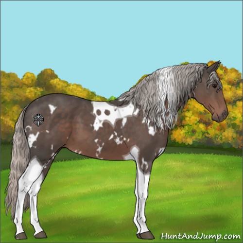 Horse Color:White Spotted Silver Black Tobiano 