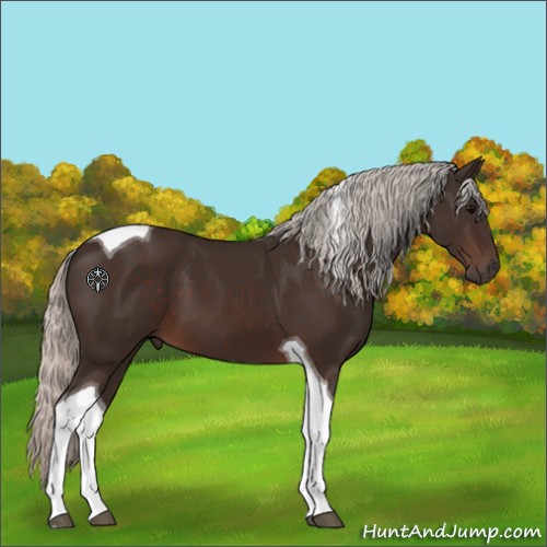Horse Color:Silver Brown Tobiano 