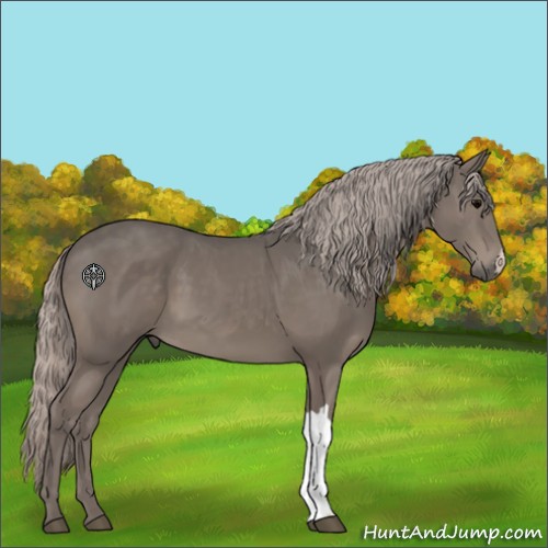 Horse Color:Silver Black 