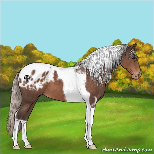 Horse Color:Silver Brown Tobiano Varnish