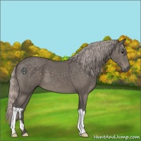 Horse Color:Silver Black 