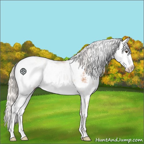 Horse Color:Silver Buckskin Sabino 