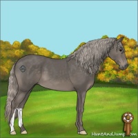 Horse Color:Silver Black 