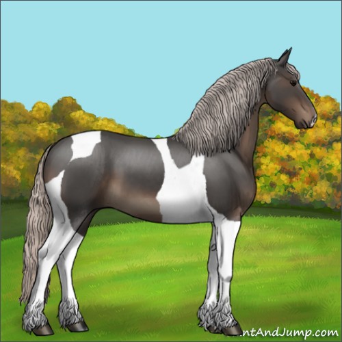 Horse Color:Silver Black Tobiano