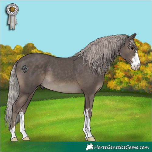 Horse Color:Silver Black 