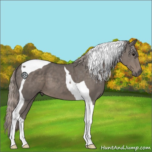 Horse Color:Silver Black Tobiano 