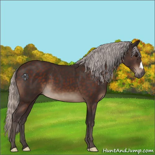 Horse Color:Silver Brown 