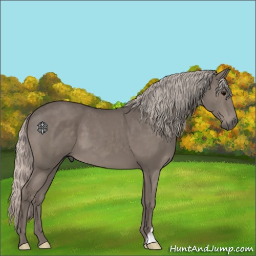 Horse Color:Silver Black 