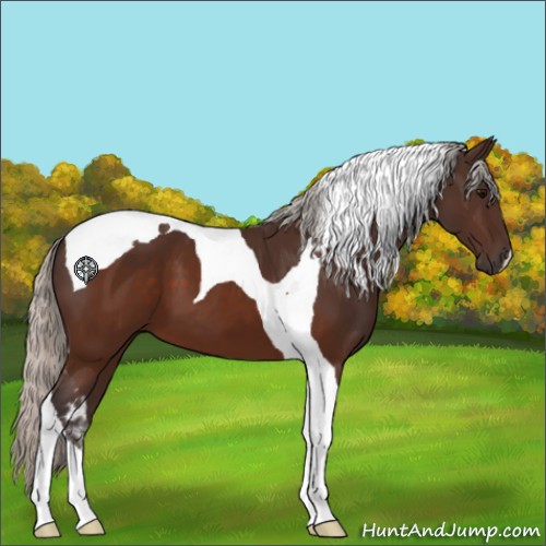 Horse Color:Silver Brown Tobiano 