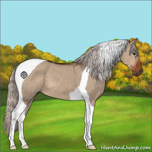 Horse Color:Silver Brown Dun Tobiano
