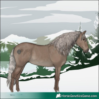 Horse Color:Silver Grullo 