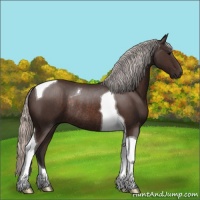 Horse Color:Silver Brown Tobiano Rabicano