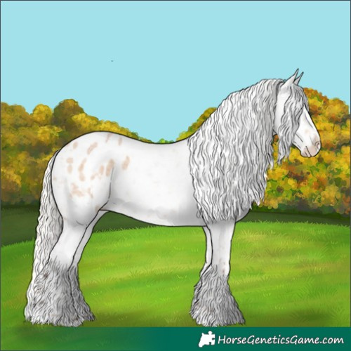 Horse Color:Silver Bay Roan Dun Blanket Rabicano