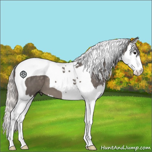 Horse Color:Silver Black Splash Tobiano 