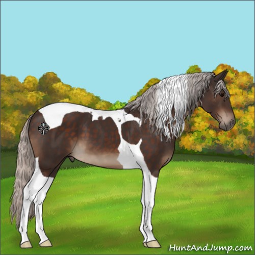 Horse Color:Silver Brown Tobiano 