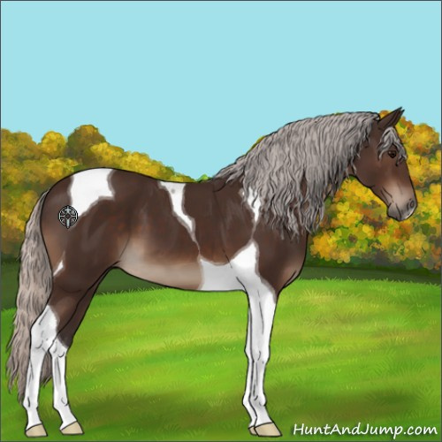 Horse Color:Silver Brown Tobiano 