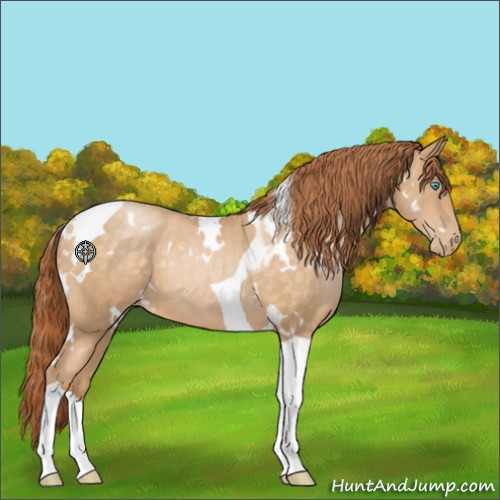 Horse Color:White Spotted Buckskin Pearl Tobiano 