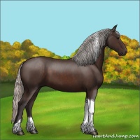 Horse Color:Silver Brown Tobiano 