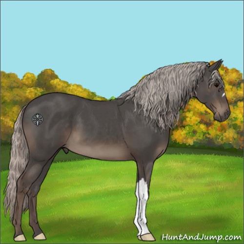 Horse Color:Silver Black 