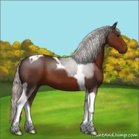 Horse Color:Silver Brown Tobiano 