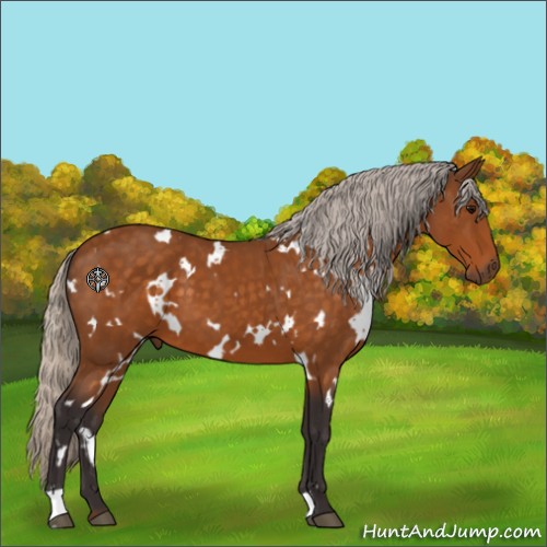 Horse Color:White Spotted Silver Buckskin 