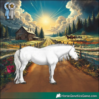 Horse Color:Silver Bay Roan Dun Blanket Rabicano