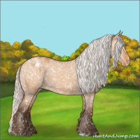 Horse Color:Silver Bay Roan Dun Appaloosa Rabicano