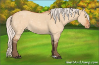 Horse Color:Silver Bay Roan Dun Snowflake Varnish Rabicano 