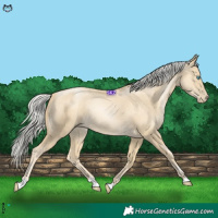 Horse Color:Silver Sable Cream Champagne Pearl 