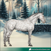 Horse Color:Silver Grullo Roan Appaloosa Rabicano 