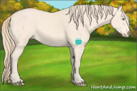 Horse Color:Perlino 