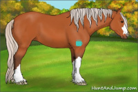 Horse Color:Silver Bay
