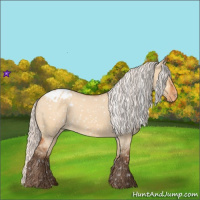 Horse Color:Silver Bay Roan Dun Appaloosa Rabicano