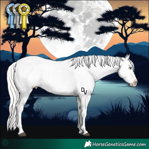 Horse Color:Silver Bay Roan Pearl Dun Snowflake VarnishRabicano