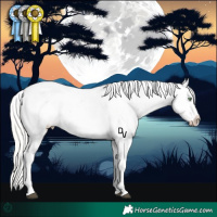 Horse Color:Silver Bay Roan Pearl Dun Snowflake VarnishRabicano