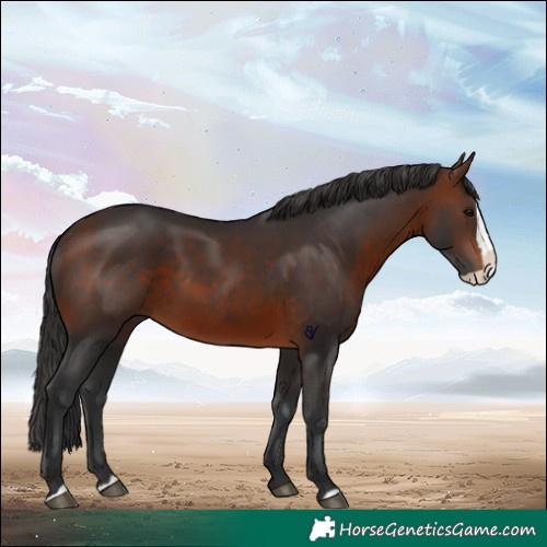 Horse Color:Brown Splash 