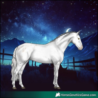 Horse Color:Silver Grullo Roan Pearl Snowflake Varnish Rabicano 
