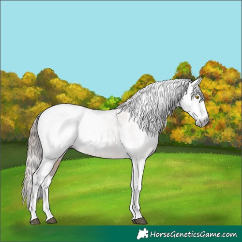 Horse Color:Gray Brown Pearl Dun Splash Tobiano Varnish